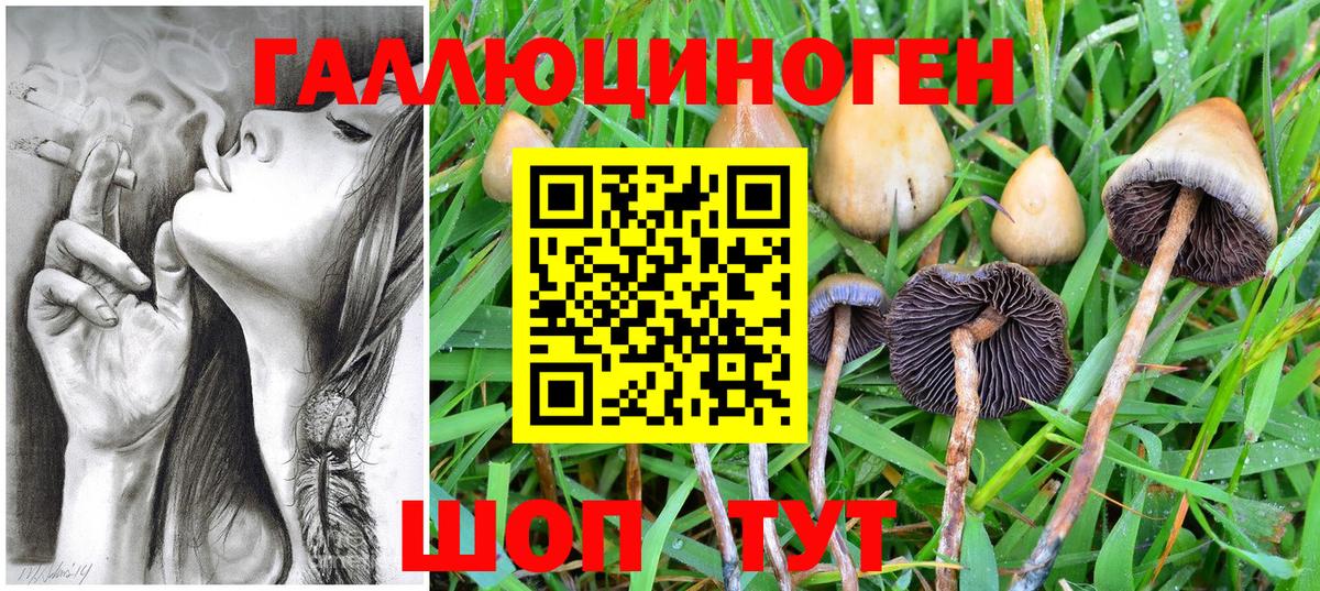 Когалым  сколько стоит  Вход с VPN  Галлюциногенные грибы ЛСД 